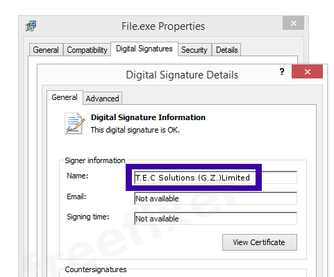 Screenshot of the T.E.C Solutions (G.Z.)Limited certificate
